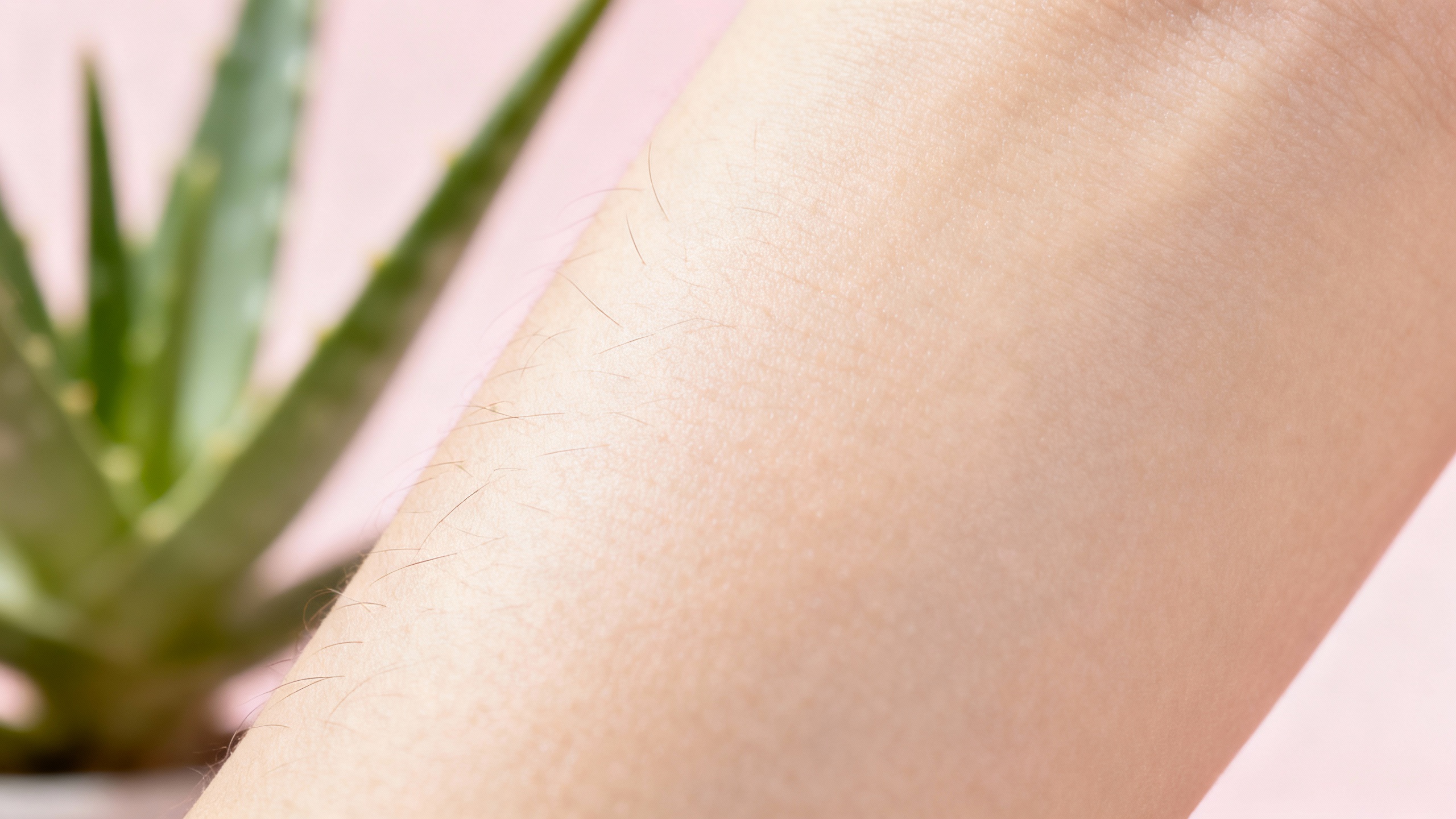 Featured image for Soothing Solutions: A Guide to Managing Folliculitis Symptoms